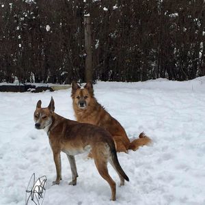 Meet your Posher, Bethany